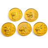 Factory Direct Sales Promotional Custom Gold Challenge Coins
