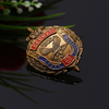 Military Metal Eagle Wings Russian Pin Brass Logo Badge